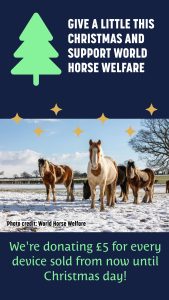 World Horse Welfare